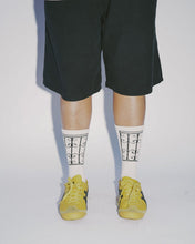 Load image into Gallery viewer, Gate Socks