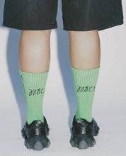 Load image into Gallery viewer, Gate Socks